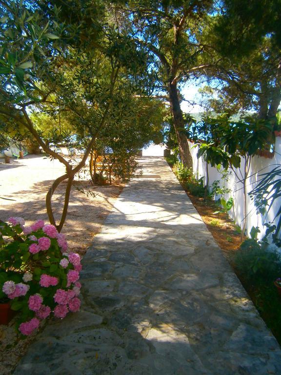 Hotel Bed & Breakfast Pansion Rade Pirovac Esterno foto